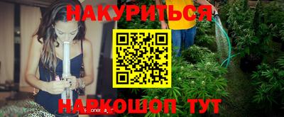 сатива Ставрополь