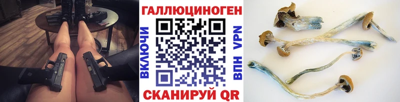 дарк нет как зайти  Реутов  Псилоцибиновые грибы Magic Shrooms  гидра ссылки 