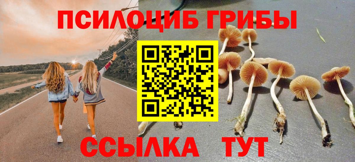 Галлюциногенные грибы GOLDEN TEACHER  Вход с VPN  Псилоцибиновые грибы MAGIC MUSHROOMS  Реутов 