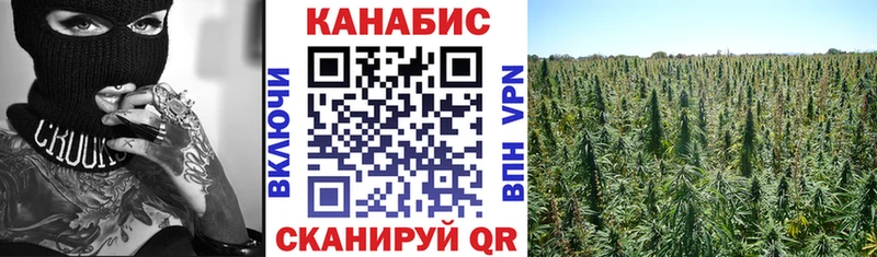 маркетплейс как зайти  Реутов  Шишки марихуана планчик  купить закладку 